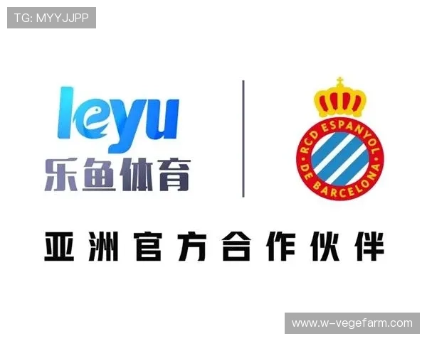 开云体育乐鱼平台最新赛事资讯与热门比赛推荐指南