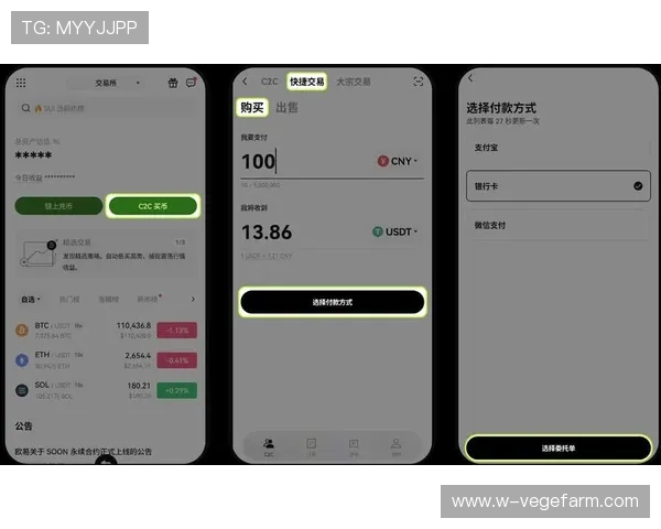 开云在线app注册登录流程详解帮助新手玩家快速上手开启游戏之旅